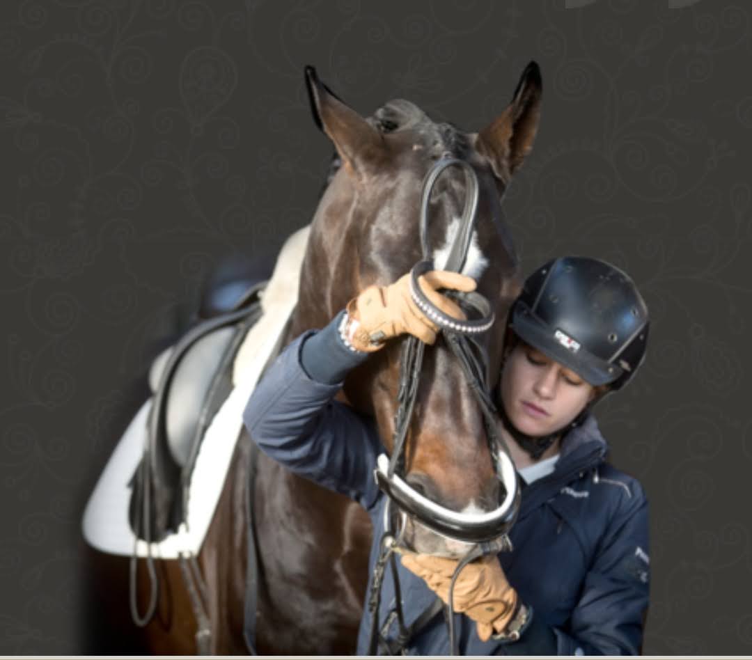 Contact Dressage Dynamics