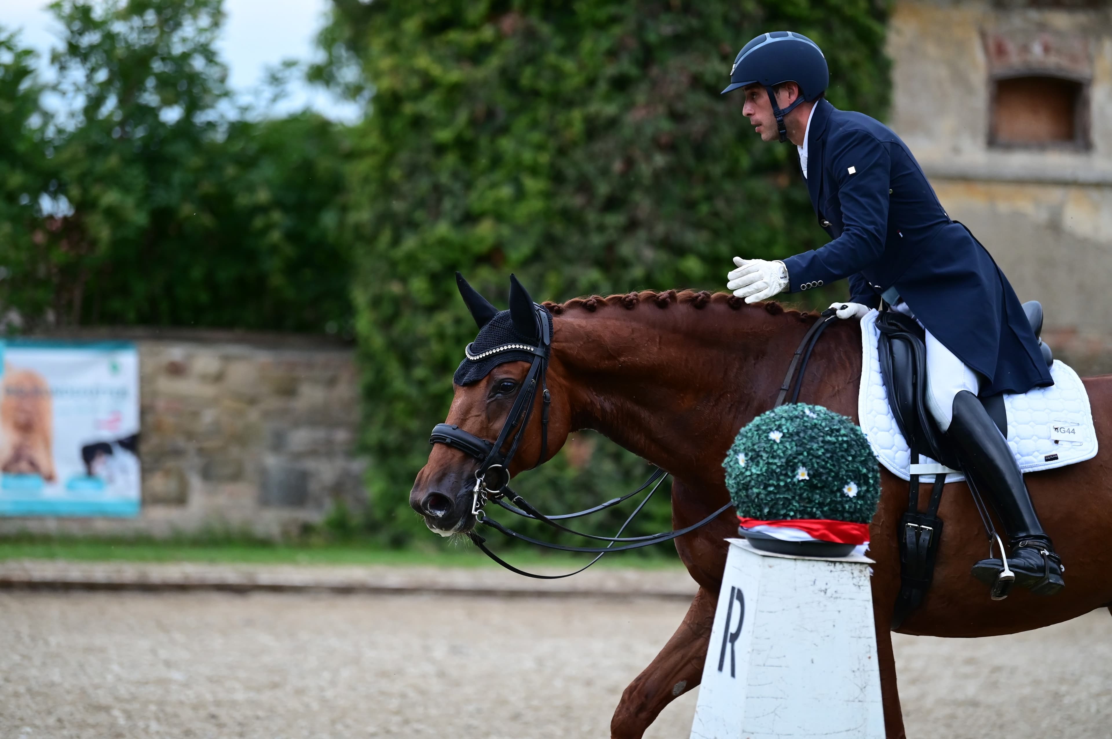 Dressage training in action
