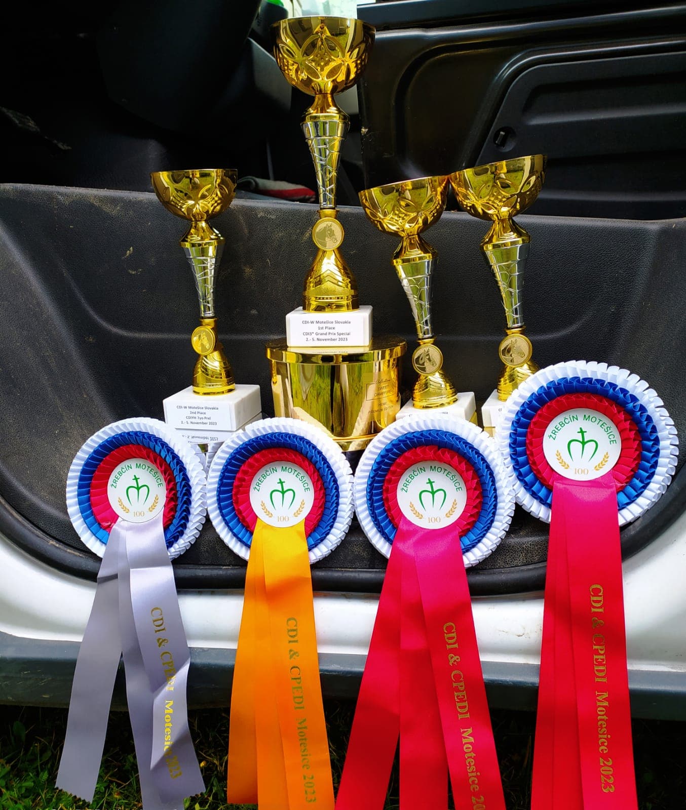 Competition Preparation