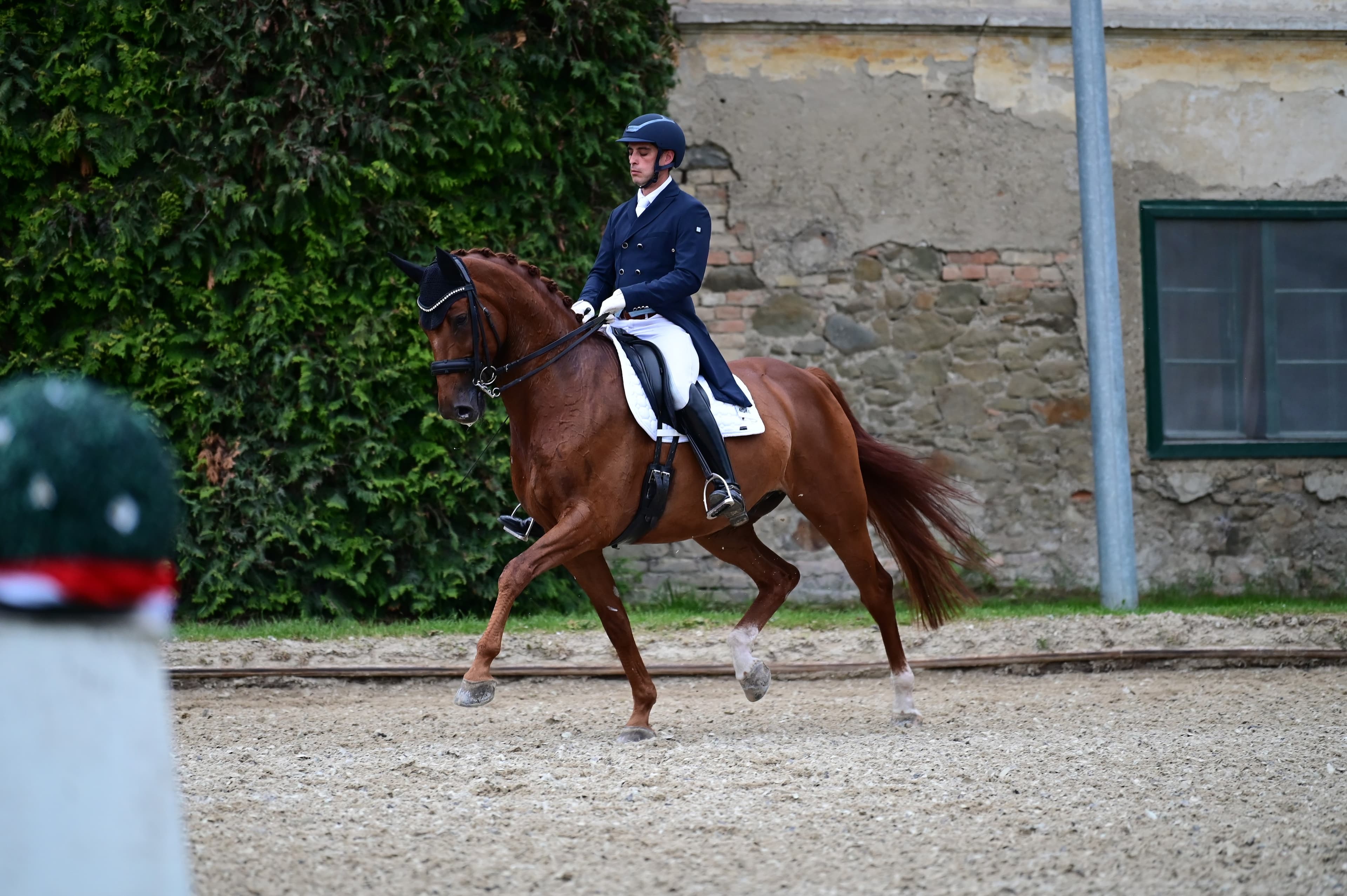 Young Horse Development