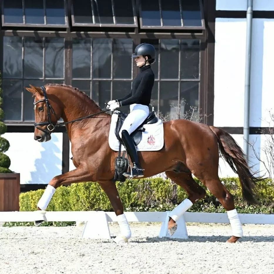 Training methodology