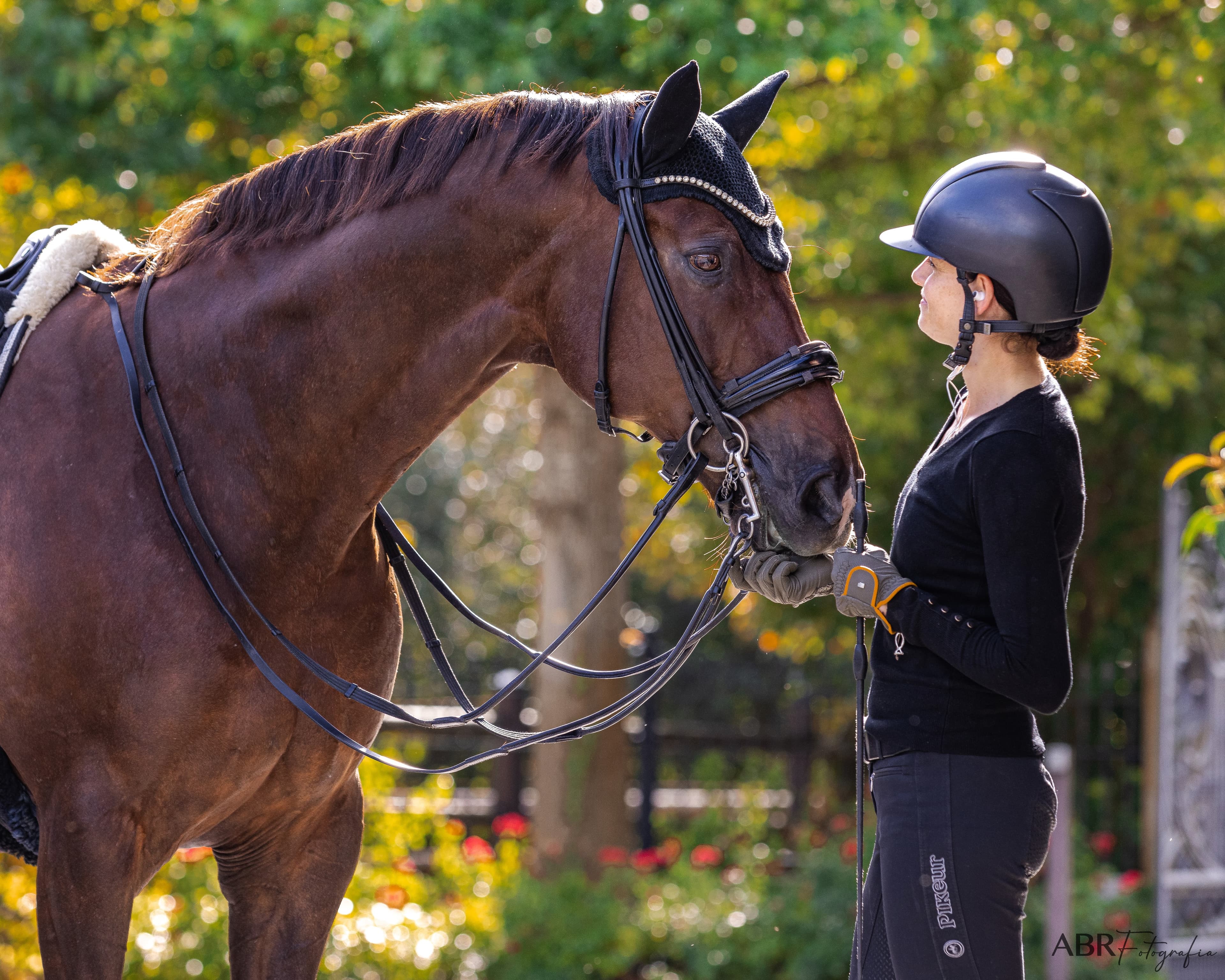 Judit Sardà — warm portrait with horse