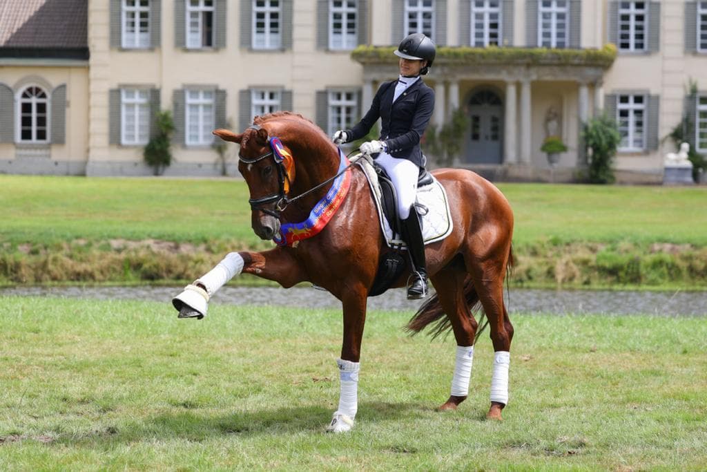 Competition highlight 4