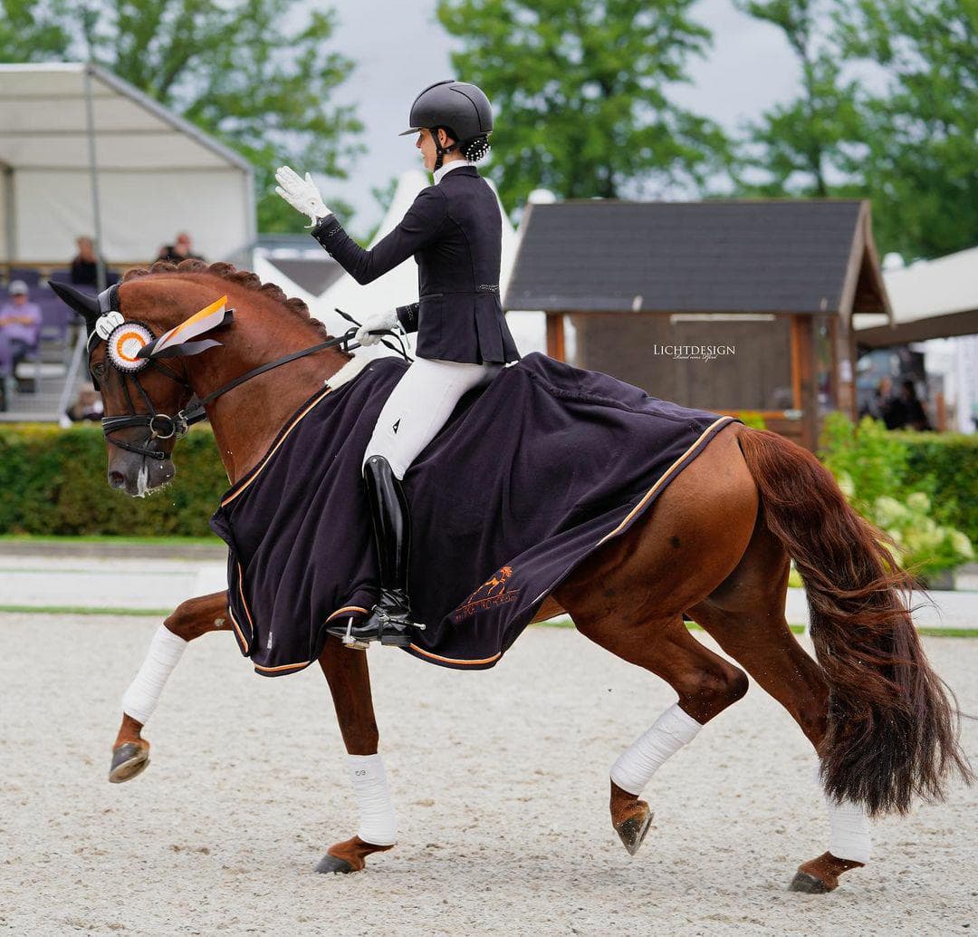 Competition highlight 5